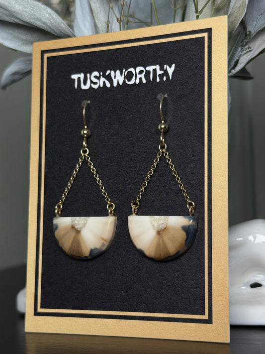 Fossilized Eclipse Swing Earrings