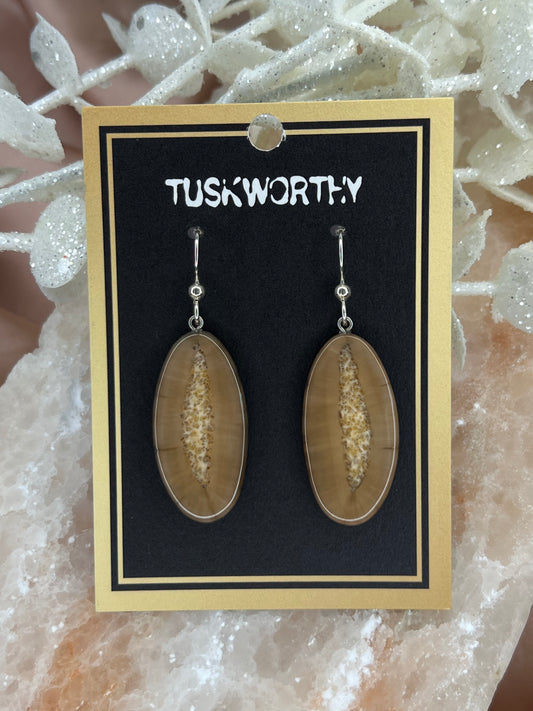 Bronzed Fossilized Ivory Slice Earrings