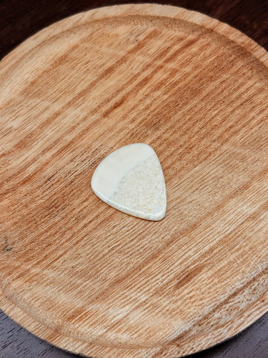 Ivory Guitar Pick
