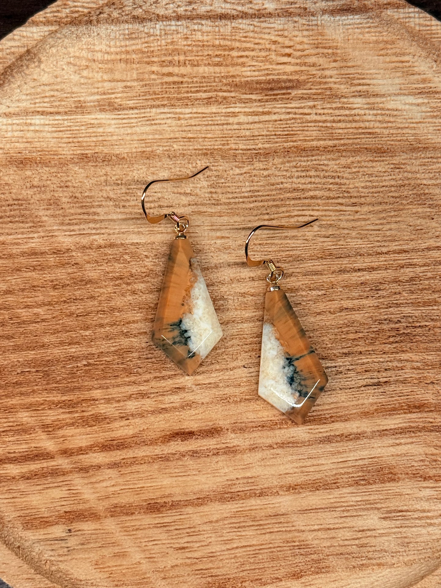 Fossilized Ivory Earrings
