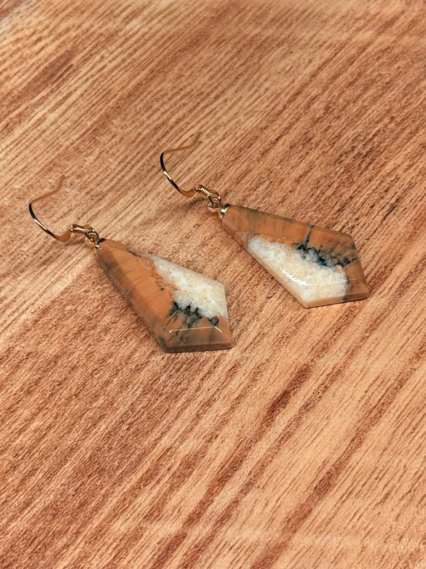 Fossilized Ivory Earrings