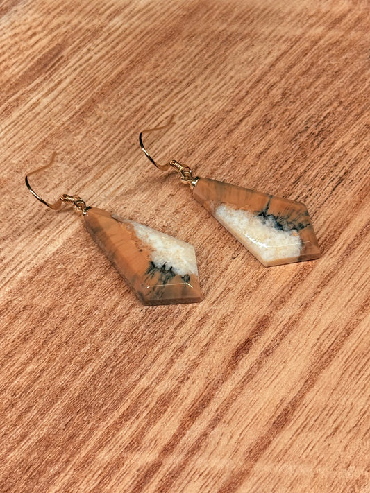 Fossilized Ivory Earrings