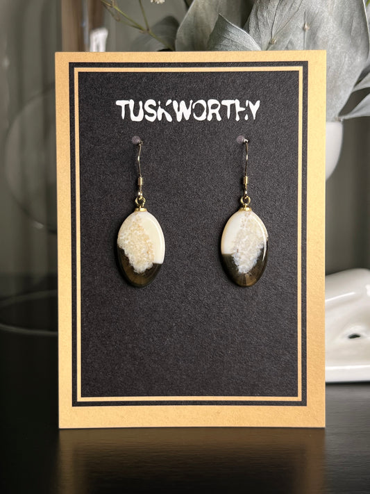Fossilized Ivory Drop Earrings