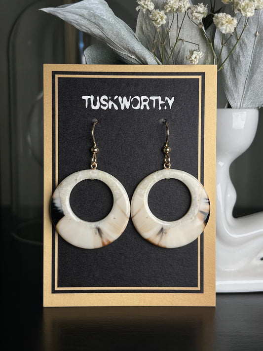 Fossilized Ivory Hoops