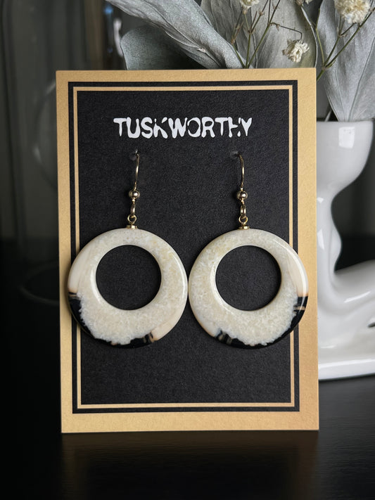 Fossilized Ivory Hoops