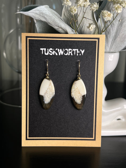 Fossilized Ivory Drop Earrings
