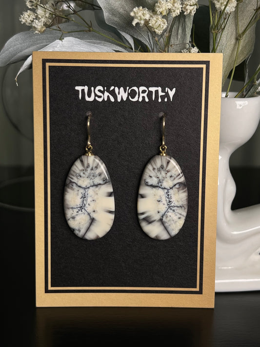 Fossilized Ivory Slice Earrings